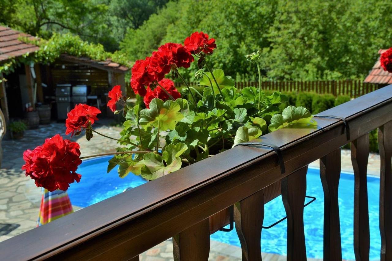 Vetrintsi Къща Край Реката/ House By The River מראה חיצוני תמונה